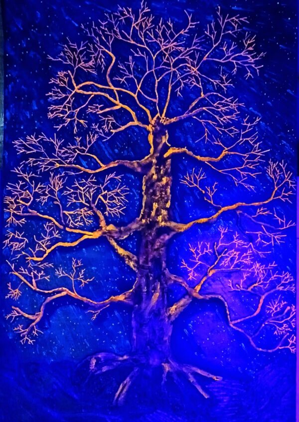 487299203_122149423544488724_2089673520584497159_n Árbol de la noche triste